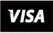 Pay safely with Visa
